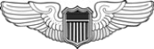 Wings of Power Pilots